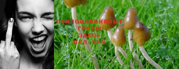 спиды Верхнеуральск