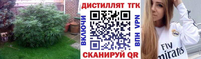 Купить где  Кашин  ТГК THC oil 